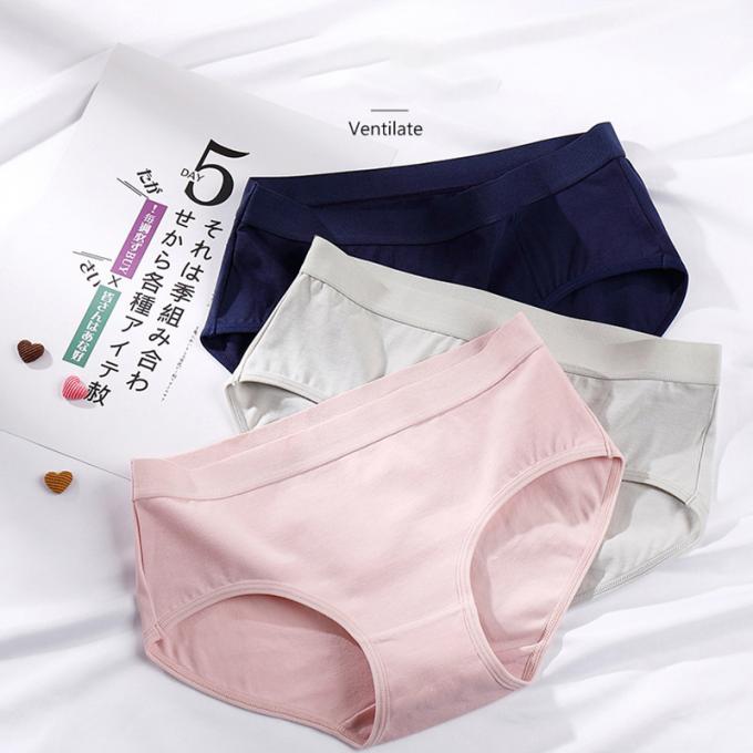 Le mutandine del pizzo della biancheria intima più della dimensione della ragazza all'ingrosso delle mutandine delle donne sexy della biancheria intima 3 strati colano la prova